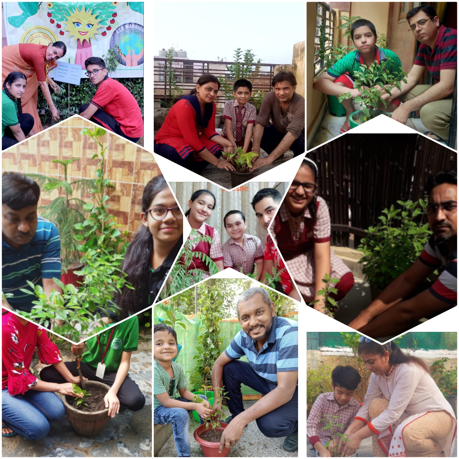 Tree Plantation Day