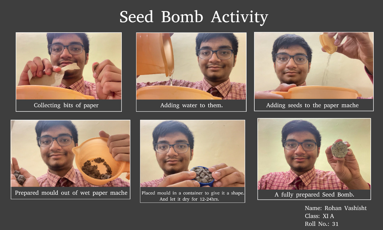 Seed Bombs